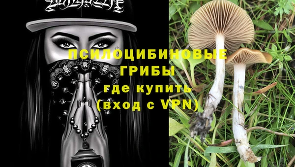 гидра Касимов