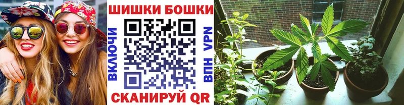 Купить  Курчалой  Бошки марихуана VHQ 